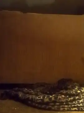 luke thighwalker2469 online show from 8, 2, 2025