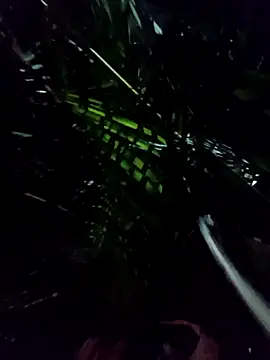 mis312 online show from 8, 1, 2026