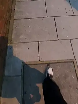 XMenX24 online show from 22, 3, 2025