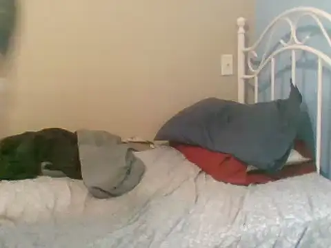 SmokingSloth online show from 9, 3, 2025