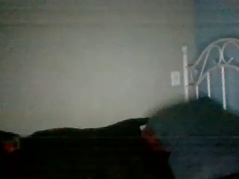 SmokingSloth online show from 16, 3, 2025