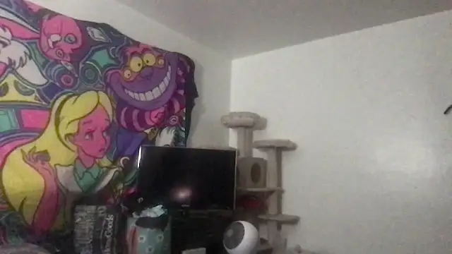 SpunCandy online show from 27, 5, 2026