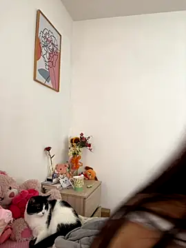 Snapshot of HallieLemon1 chatting on 3, 10, 2025 HallieLemon1 online show from 3, 10, 2025