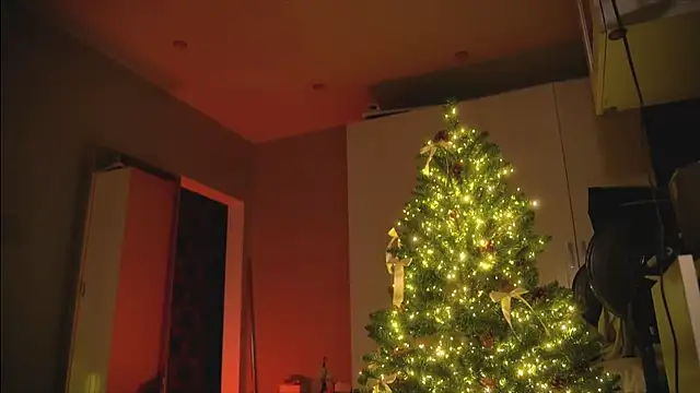 Arianna Richi online show from 30, 12, 2024