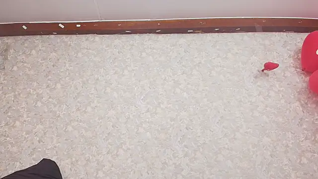 nicol f online show from 15, 2, 2025