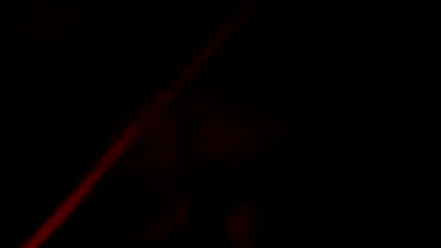 evely coelloo online show from 4, 11, 2025