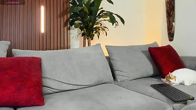 lucasanto  online show from 11, 4, 2026