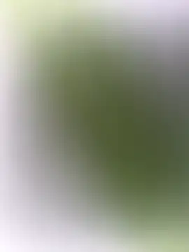 mrwright878787 online show from 27, 12, 2024