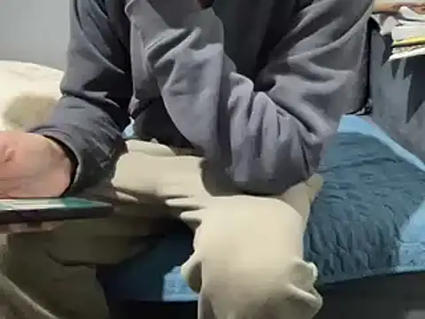 4small4inchlol online show from 21, 2, 2025