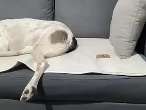 4small4inchlol online show from 20, 3, 2025