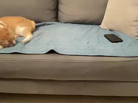 4small4inchlol online show from 14, 11, 2025