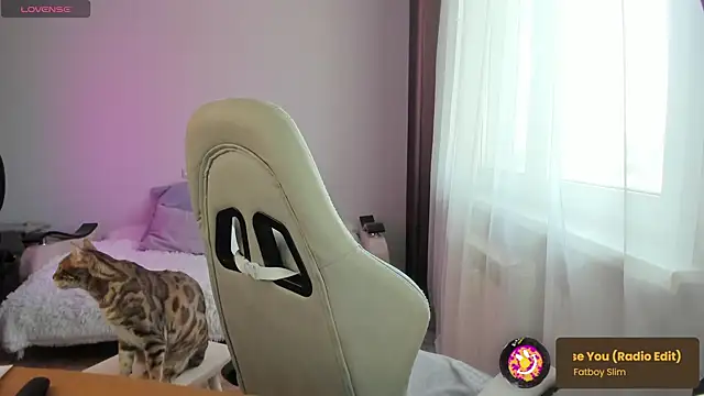 ms allison w online show from 28, 2, 2025