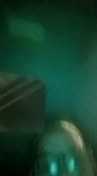 gettinit2wice online show from 21, 12, 2024