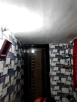 whvysky3 online show from 30, 4, 2026