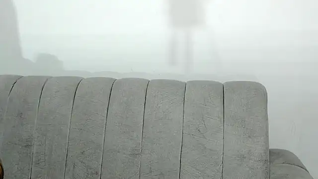 laly mariana online show from 22, 11, 2025