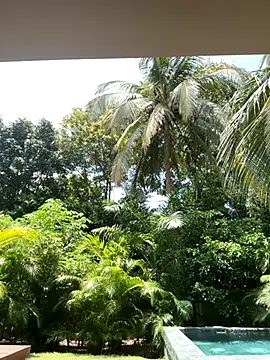 Snapshot of Olivia_Collins1 chatting on 16, 9, 2025 Olivia Collins1 online show from 16, 9, 2025