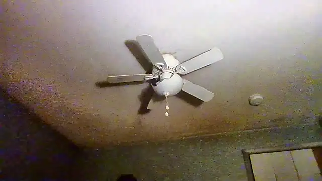 VanceFontaine online show from 20, 4, 2026