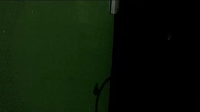 Snapshot of Deleon1995 chatting on 2, 1, 2025 Deleon1995 online show from 2, 1, 2025