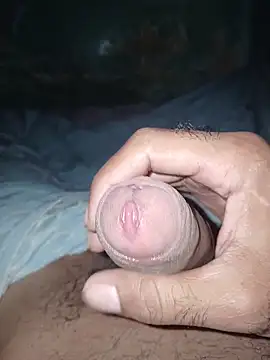 taylorWiiz online show from 14, 3, 2026