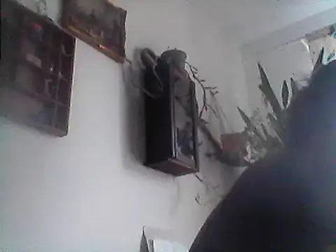 Bigpenis6y online show from 29, 12, 2024