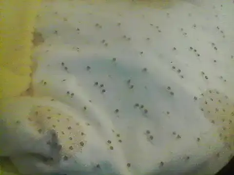 Bigpenis6y online show from 24, 1, 2025