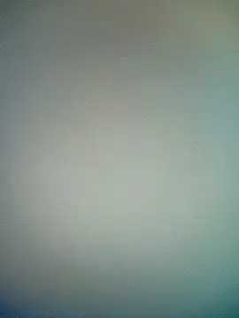 Snapshot of bustybillies chatting on 17, 1, 2026 bustybillies online show from 17, 1, 2026