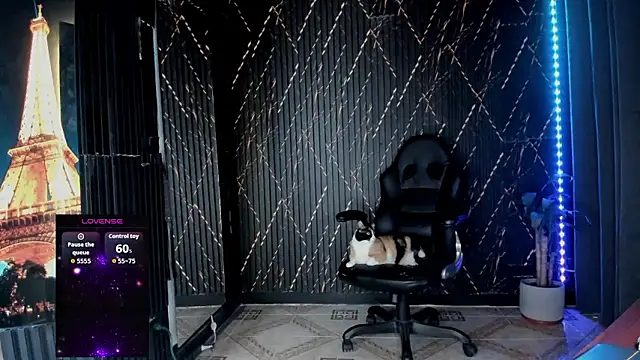 Snapshot of ZhoeStrong chatting on 18, 1, 2026 ZhoeStrong online show from 18, 1, 2026