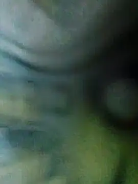 QcMisterv13 online show from 24, 11, 2025