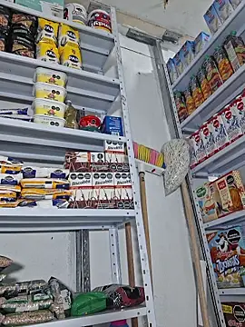 Katia sweetx online show from 13, 4, 2026