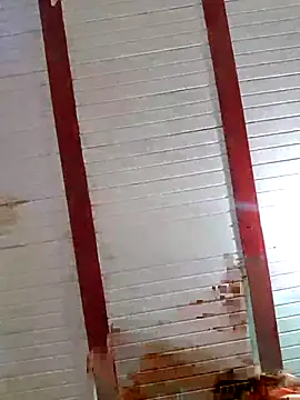 Zaralu  online show from 8, 10, 2025