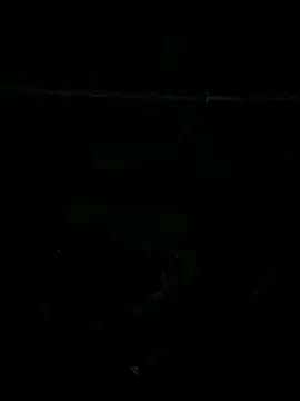 SnapIDRakesh4 online show from 27, 11, 2025