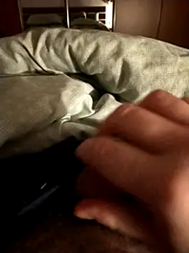 user 662 online show from 31, 3, 2026