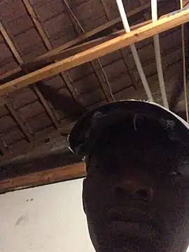 Snapshot of thekidrose chatting on 2, 12, 2025 thekidrose online show from 2, 12, 2025