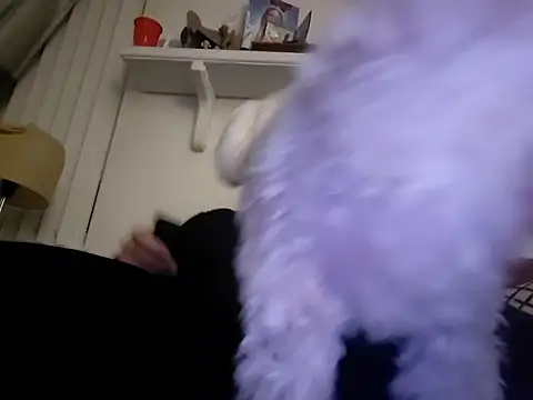 Hand69someguy online show from 10, 1, 2026