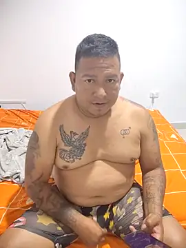 siatodo02 online show from 8, 12, 2024