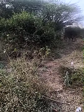 Snapshot of Abinash7732 chatting on 1, 2, 2026 Abinash7732 online show from 1, 2, 2026