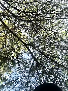 Snapshot of Abinash7732 chatting on 8, 3, 2026 Abinash7732 online show from 8, 3, 2026