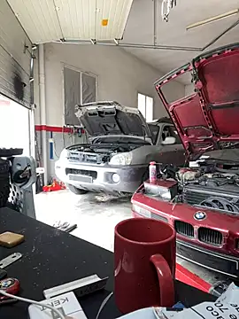 Snapshot of donnuozfutura chatting on 12, 2, 2025 donnuozfutura online show from 12, 2, 2025