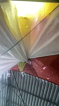 Cesywet online show from 7, 2, 2025