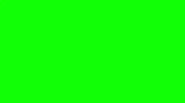 wang930115 online show from 26, 1, 2025