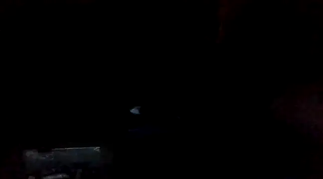 Vicktore007 online show from 1, 3, 2025