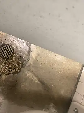 Snapshot of zeekBbc chatting on 10, 12, 2024 zeekBbc online show from 10, 12, 2024