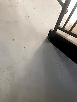 Snapshot of zeekBbc chatting on 27, 10, 2025 zeekBbc online show from 27, 10, 2025