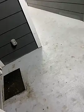 Snapshot of zeekBbc chatting on 9, 2, 2026 zeekBbc online show from 9, 2, 2026