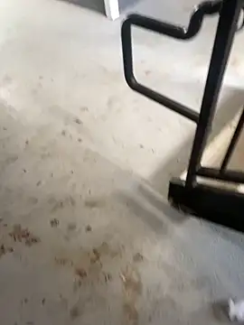 Snapshot of zeekBbc chatting on 26, 2, 2026 zeekBbc online show from 26, 2, 2026