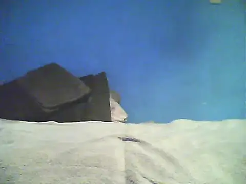 Vago745 online show from 2, 12, 2024