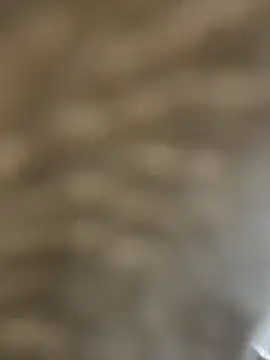 BhadBhad Kitty online show from 14, 2, 2025