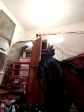 Snapshot of SINUECASTILLO chatting on 12, 12, 2024 SINUECASTILLO online show from 12, 12, 2024