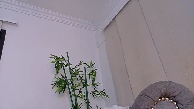 Snapshot of miranda_villa chatting on 19, 12, 2025 miranda villa online show from 19, 12, 2025