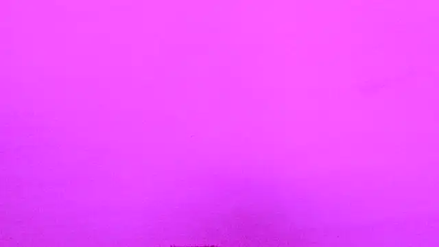 Habibi big b online show from 16, 11, 2025